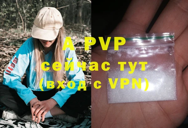 экстази Михайлов