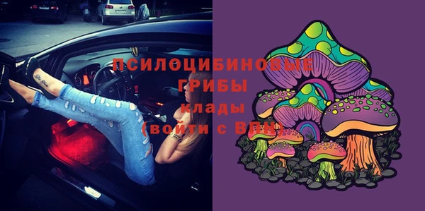 герыч Алексин